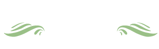 RI SOUSA LOGO RS Dermatologia