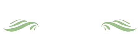 RI SOUSA LOGO RS Dermatologia